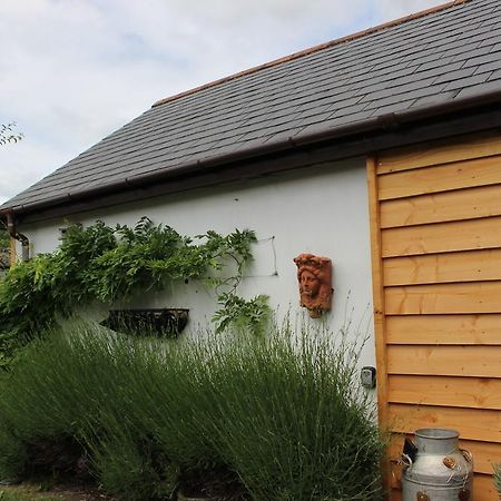 Old Stacks Cottage Annexe Ringwood Exteriér fotografie