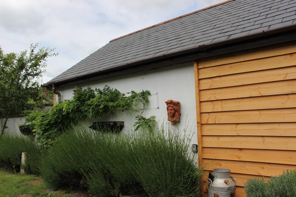 Old Stacks Cottage Annexe Ringwood Exteriér fotografie